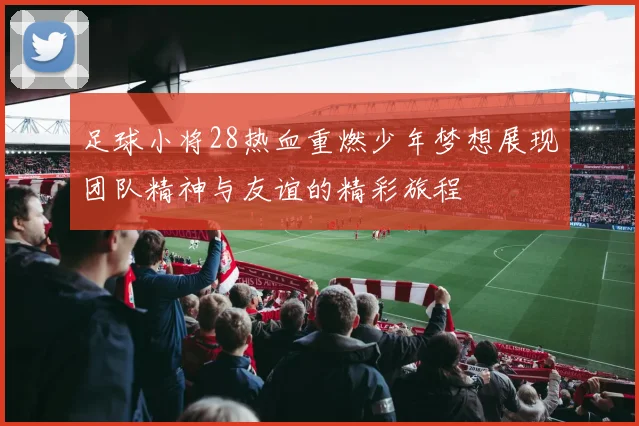 足球小将28热血重燃少年梦想展现团队精神与友谊的精彩旅程